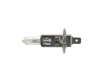 ModCycles - MYK Headlight bulb H1 12V 35/35W 1-Pin Connector (10 PCS/BOX)