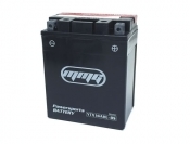 ModCycles - Battery YTX14AHL-BS